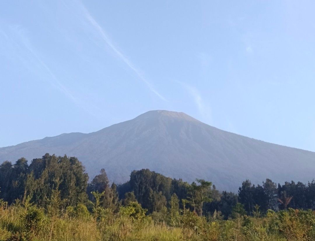 Ilustrasi Gunung Slamet