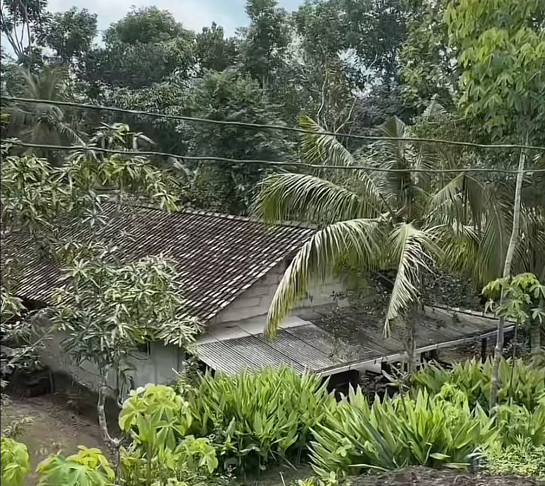 Ilustrasi salah satu rumah yang ada di Kampung Pitu
