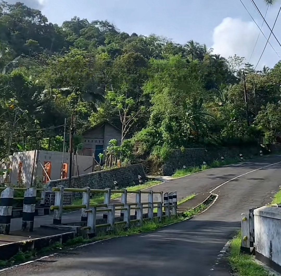 Ilustrasi salah satu jalan di Kaligesing (foto: tiktok, Dea makan&jajan)