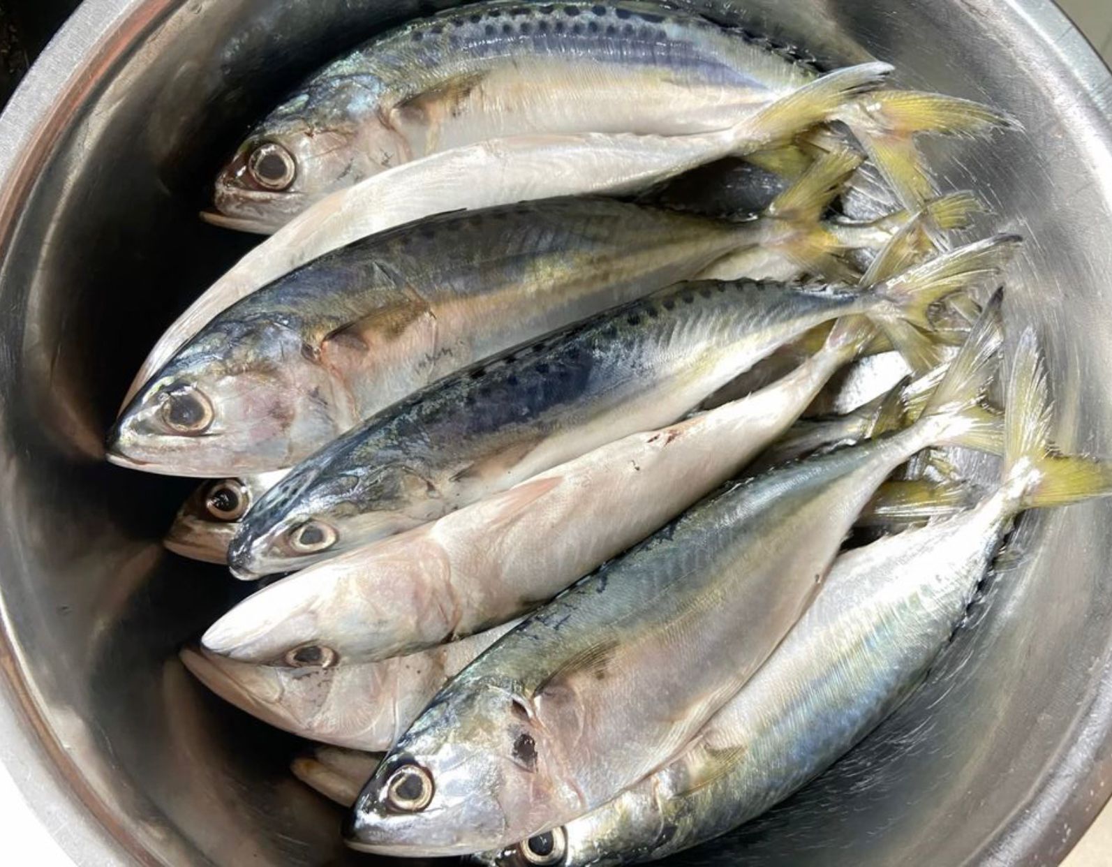 Manfaat ikan kembung untuk tumbuh kembang anak (pinterest)