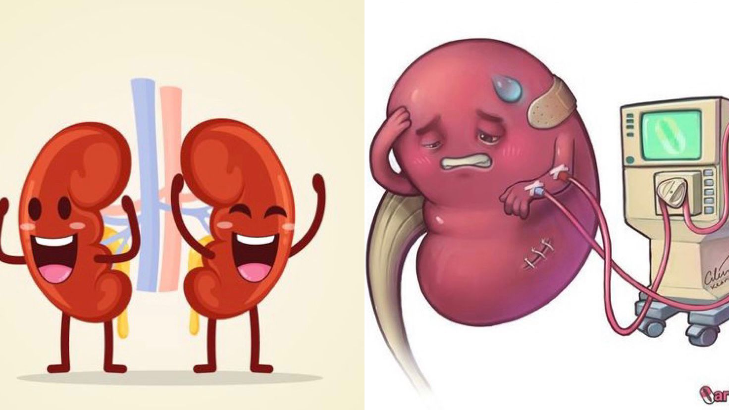 Ilustrasi Penting! Begini Cara Sederhana Menjaga Organ Ginjal Tetap Sehat. (Pinterest)