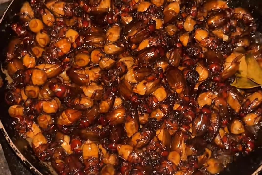 Fenomena puthul Gunungkidul ( Tiktok @belalangkriuk30)