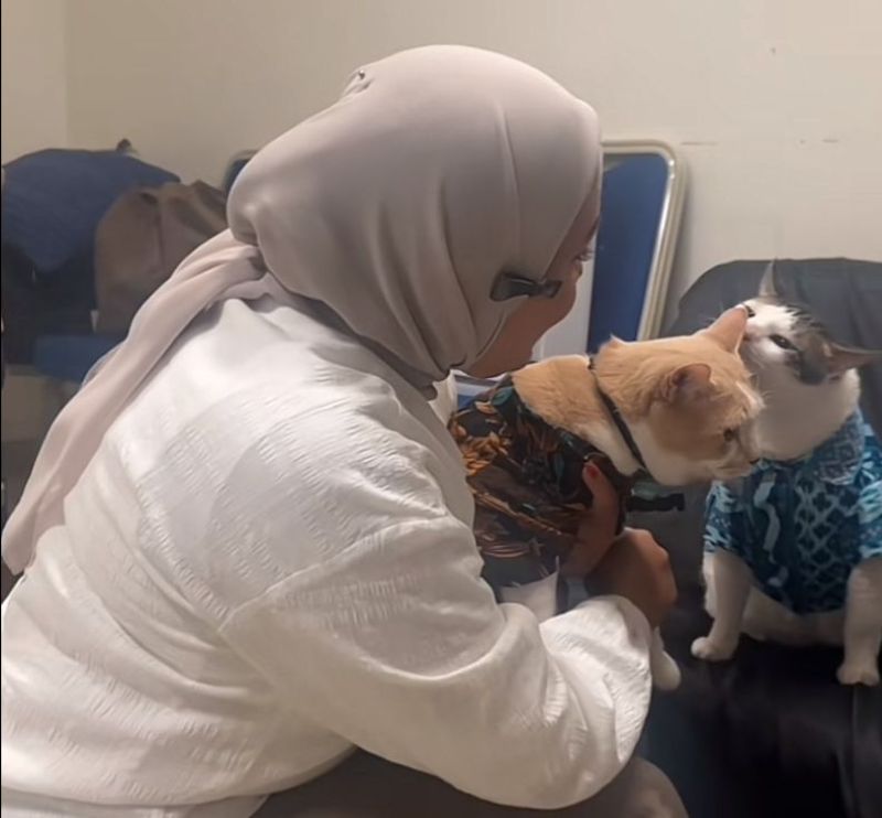 Momen Pororo ketemu Bobby Kartanegara.