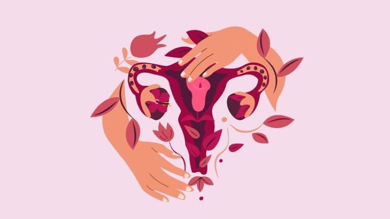 Ilustrasi Rahim Sebagai Salah Satu Organ Reproduksi Wanita
