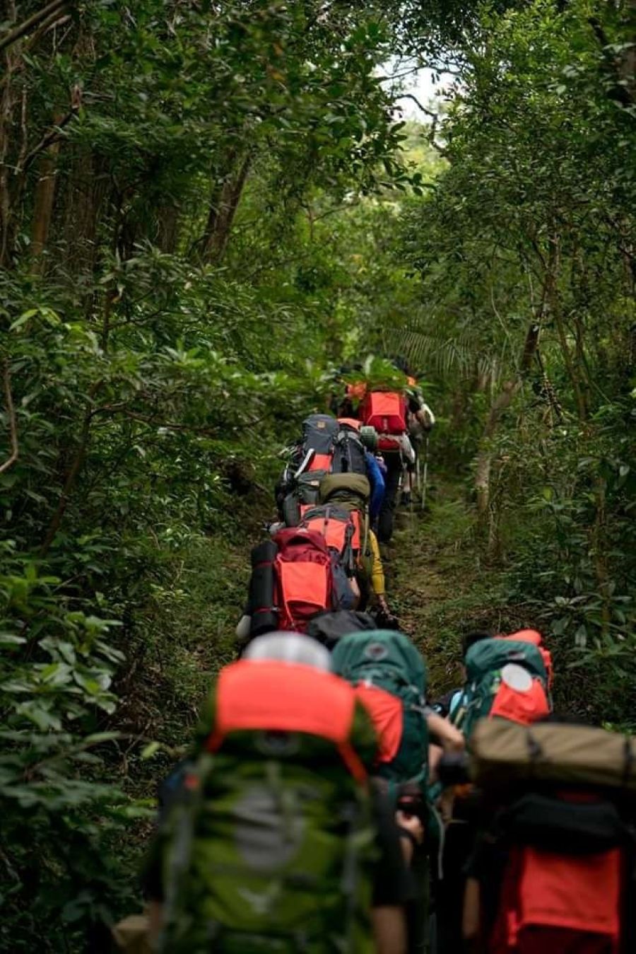 Mendaki gunung di musim hujan. (Sumber: Pinterest)