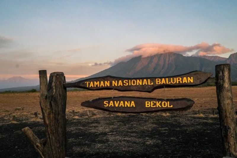 Keindahan Taman Nasional Baluran di Jawa Timur.