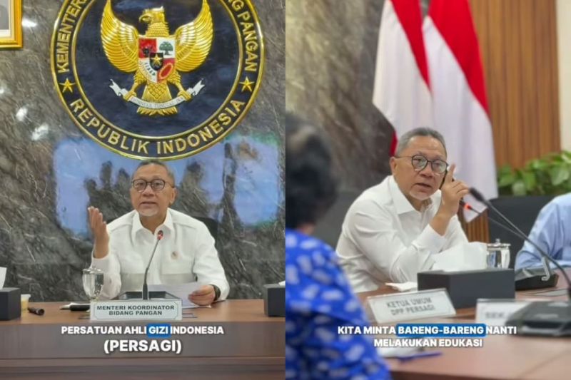 Ilustrasi Menteri Koordinator Bidang Pangan Indonesia, Zulkifli Hasan.