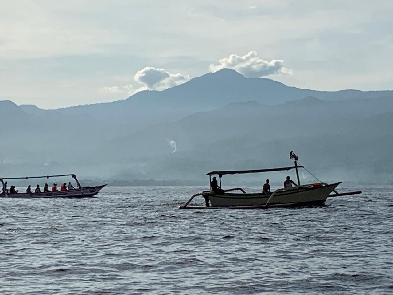Wisatawan menunggu penampakan lumba-lumba di Pantai Lovina