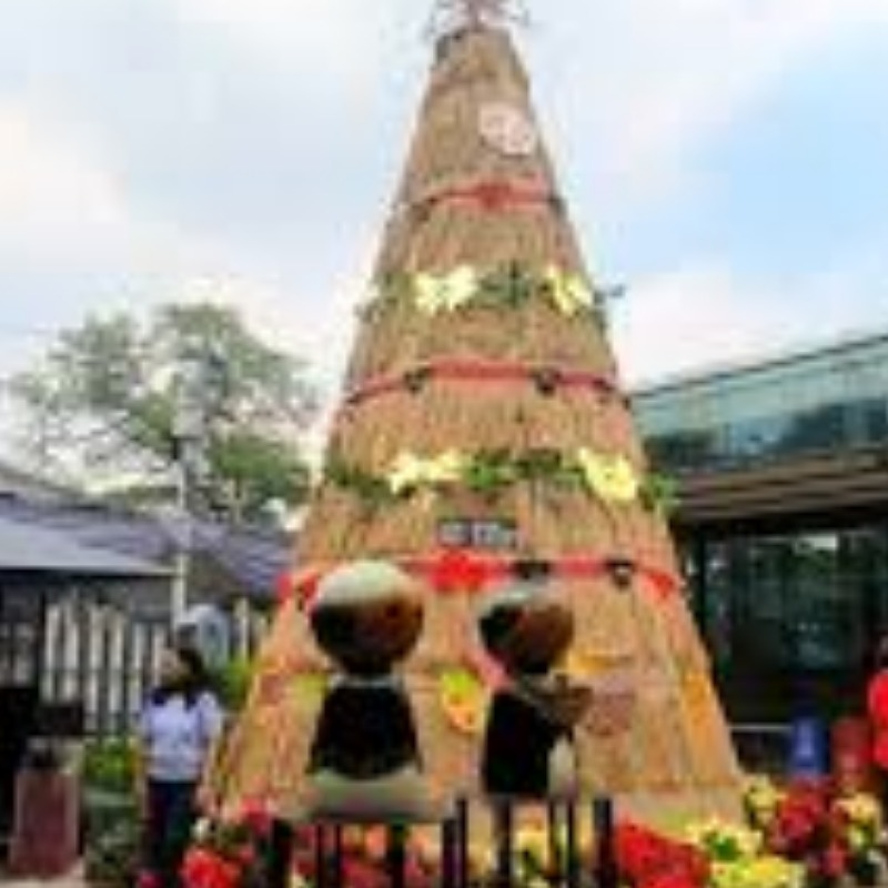 Pohon Natal Daur Ulang Katedral Jakarta Jadi Favorit Jemaat untuk Berfoto