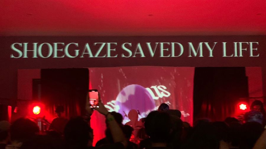 Shoegaze Saved My Life - TikTok/ @endless.daze