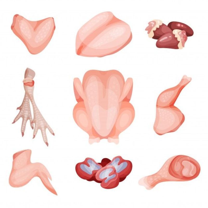 Intip Bagian - bagian ayam (Pinterest )