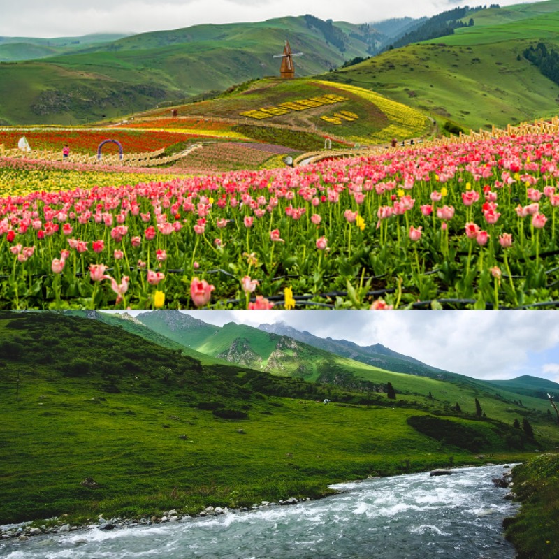 Pemandangan alam Jiangbulake Scenic Area di Xinjiang, China, dengan hamparan hijau yang kerap disebut menyerupai Swiss. &ldquo; (Sumber: kolase berbagai sumber)