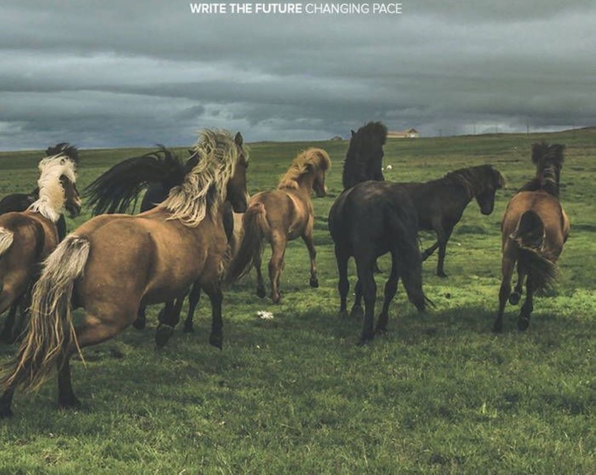 Cover Album Changing Pace / Write The Future - Sumber: Bandcamp Write The Future