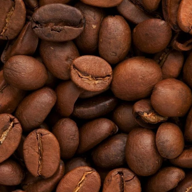 "Ilustrasi biji kopi sebelum diolah dan diseduh menjadi minuman kopi." (Sumber: pinterest)