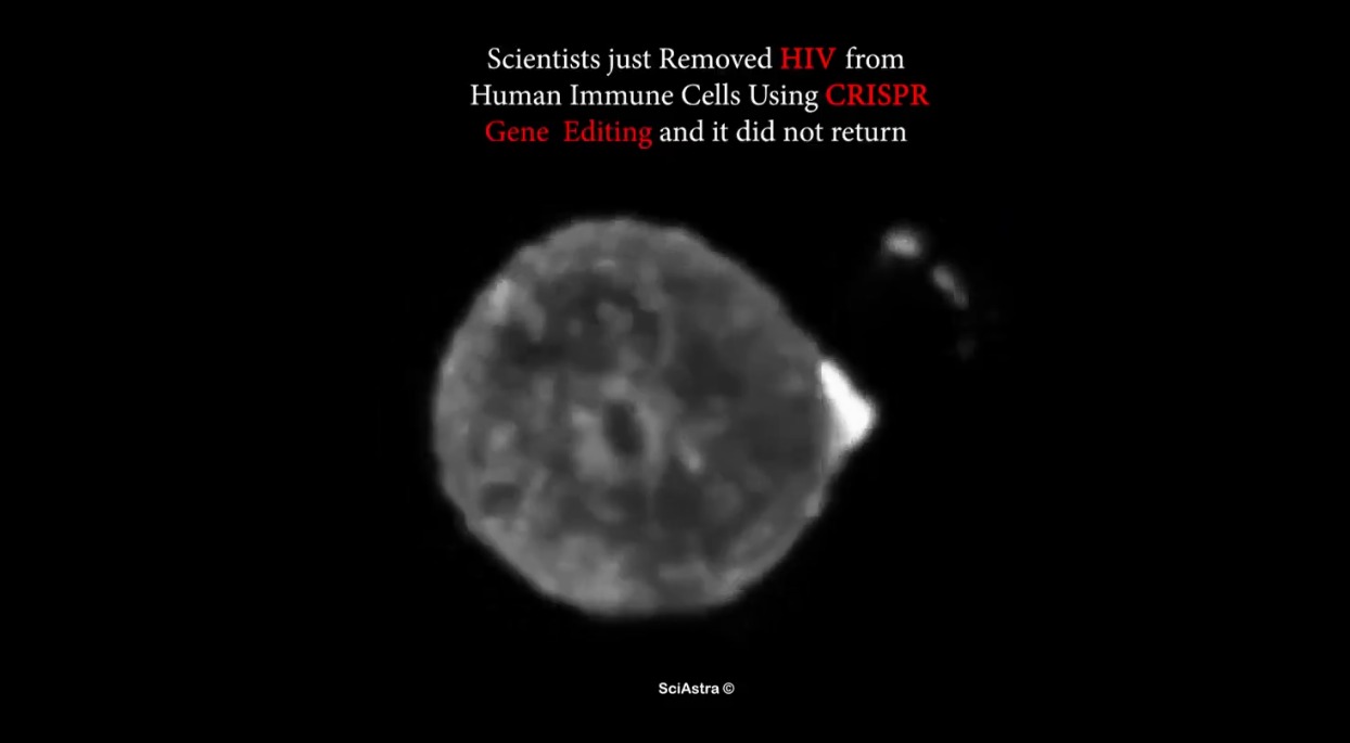 Ilustrasi China Temukan Terapi CRISPR yang Bisa Sembuhkan HIV Secara Total