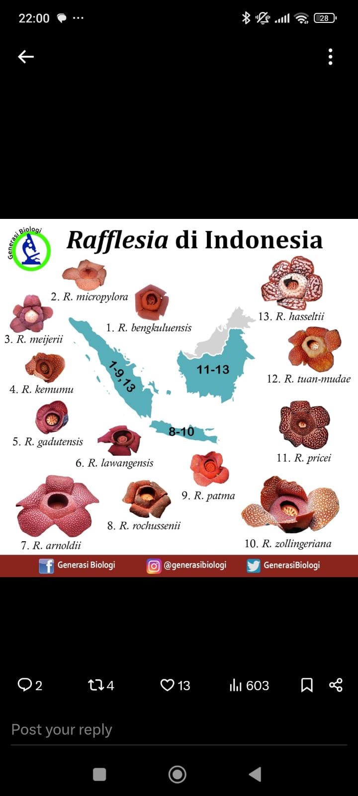 Jenis-jenis bunga Rafflesia di Indonesia. 