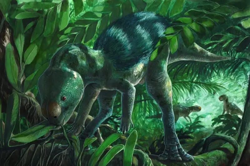 Perkiraan bentuk jenis dinosaurus.