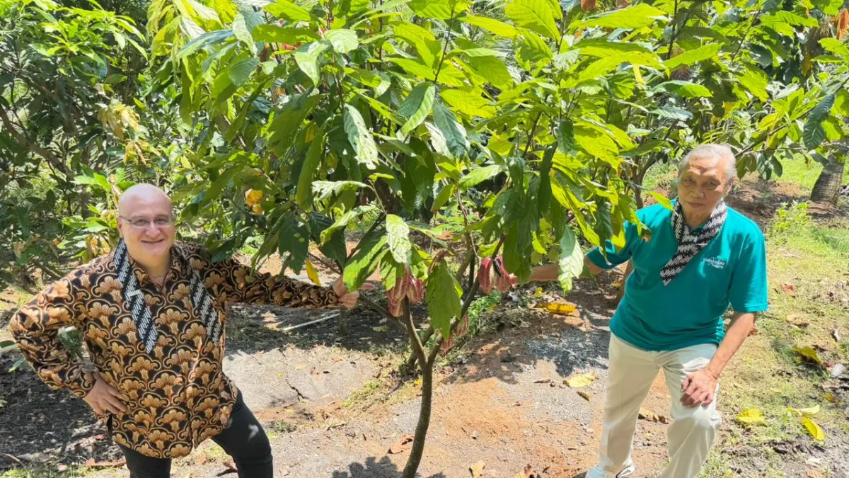 Lewat Sistem Smart Agroforestry, PSLB INSTIPER dan CIRAD Perkuat Ketahanan Ekologis Sektor Kakao