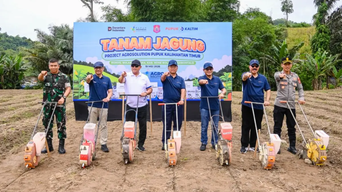 PT Pupuk Kalimantan Timur (Pupuk Kaltim) terus memperkuat komitmen dalam mendukung ketahanan pangan nasional, melalui Program Tanam Jagung Project Agrosolution yang dilaksanakan di Desa Bunuo, Kecamatan Bulango Utara, Kabupaten Bone Bolango, Gorontalo, Selasa (19/5/2026).