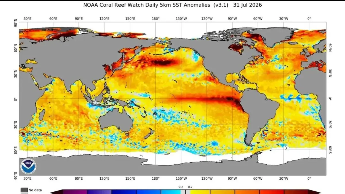Fenomena El Niño dan Indian Ocean Dipole (IOD) Positif. Keduanya kini berlangsung bersamaan. 