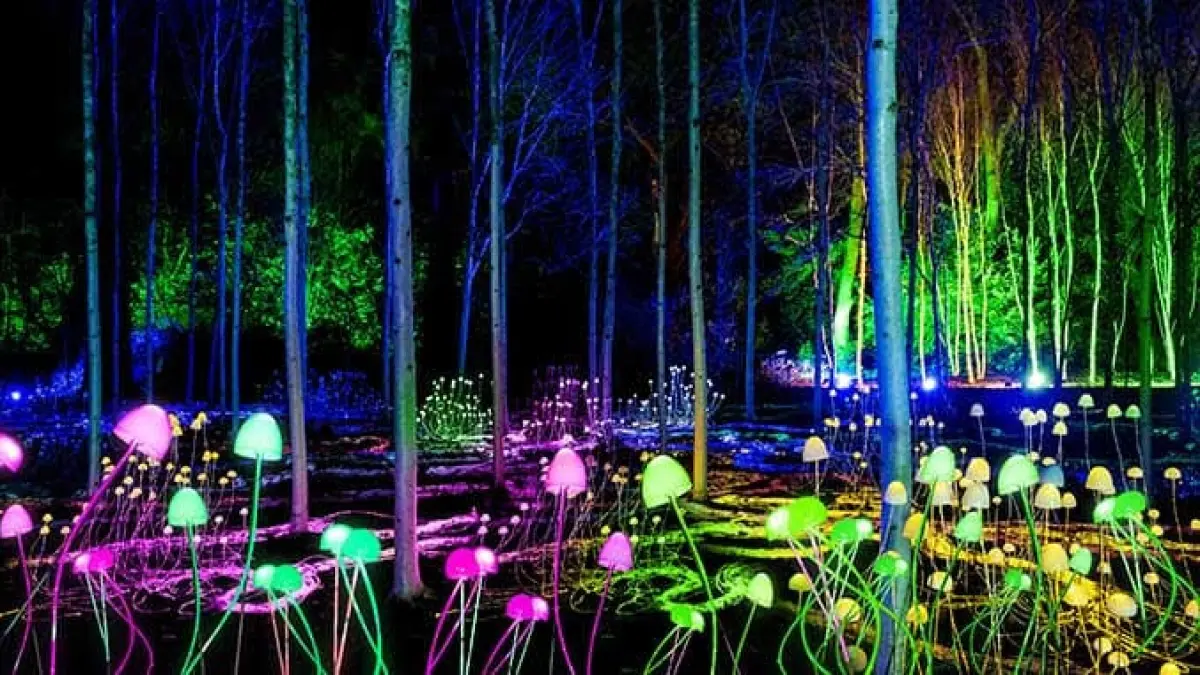 Lightscape opens at Royal Botanic Gardens Melbourne - Australian Arts Review