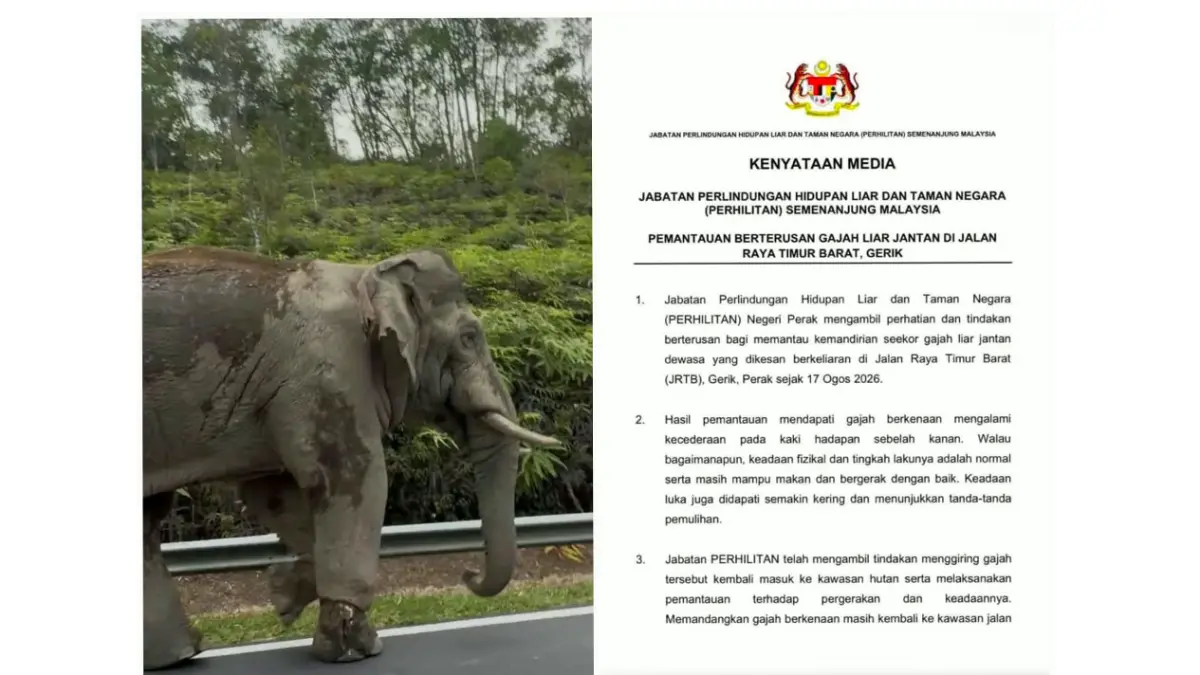 Pernyataan resmi Pemerintah Malaysia usai Gajah Sulong viral. (Sumber: X @danskuss)