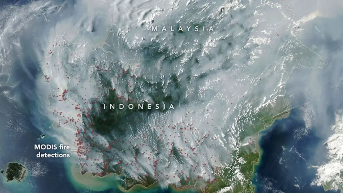 Kebakaran Lahan Gambut Indonesia September 2026: Asap Satelit NASA Menutupi Wilayah, Dipicu Kekeringan El Niño