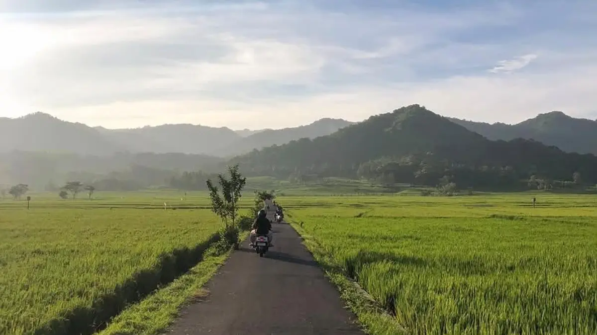Pagi di tengah sawah, udara masih sejuk, langit masih biru, gak ada suara klakson, cuma suara angin. Dok: ig/46bercerita