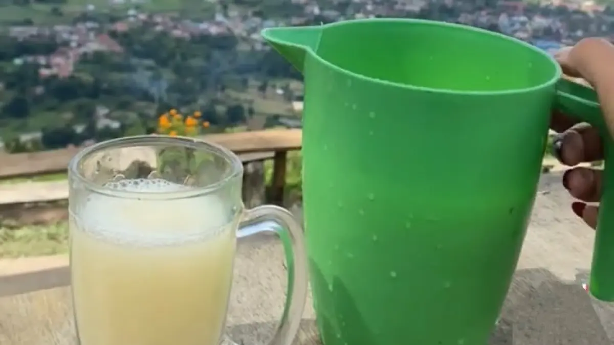 Tuak Batak Karo, minuman tradisional berbahan nira yang menjadi bagian dari kebiasaan berkumpul masyarakat Karo.

Sumber Foto : https://vt.tiktok.com/ZSqfBfW4h/