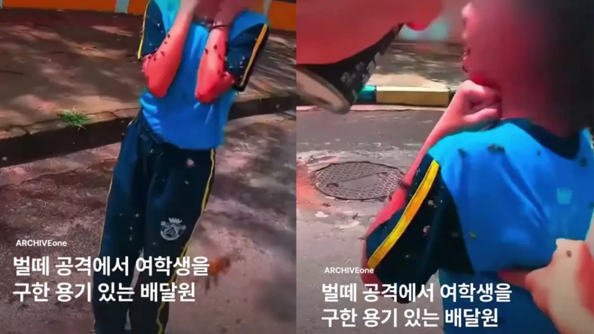 Seorang anak diserang kawanan lebah viral di medsos. (Threads/archiveone.mag)