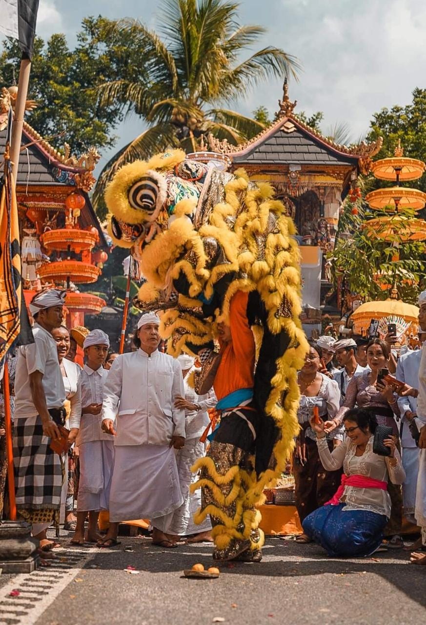 Pementasan Barongsae di Pura Sekar Tejakula sebagai simbol akulturasi