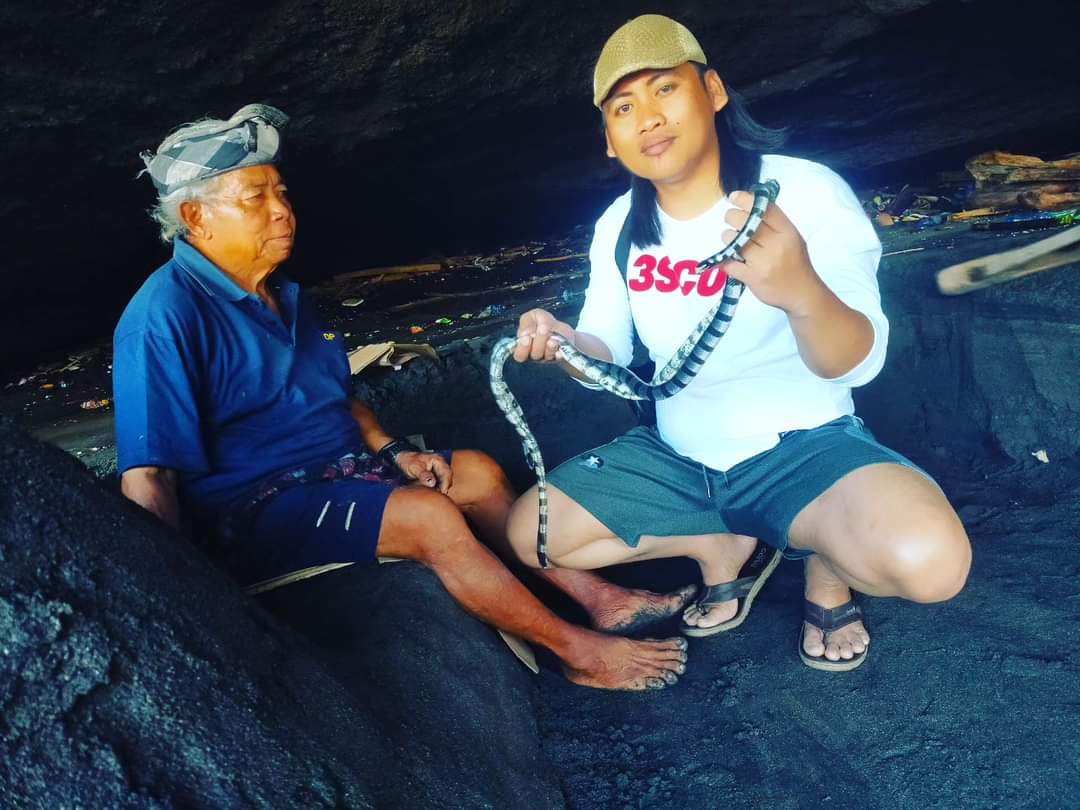 Ular suci atau lelipi duwe di Pura Tanah Lot, Desa Beraban, Kecamatan Kediri,  Tabanan