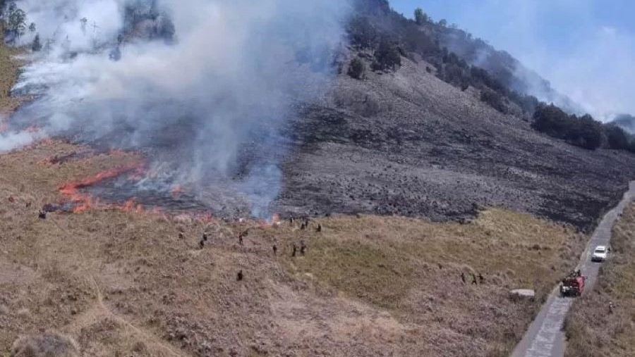 TERBAKAR: Andrie Wibowo divonis 2,5 tahun penjara atas kelalaiannya mengakibatkan savana Gunung Bromo terbakar.