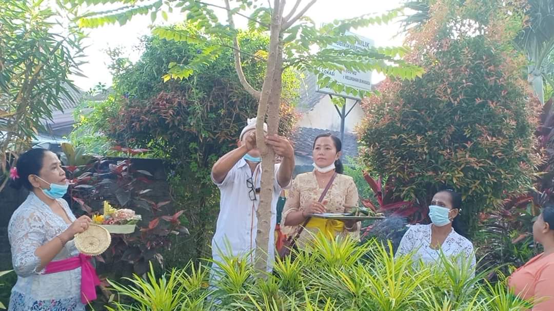 Proses melakukan upacara tumpek wariga sebagai simbol penghormatan terhadap tumbuhan