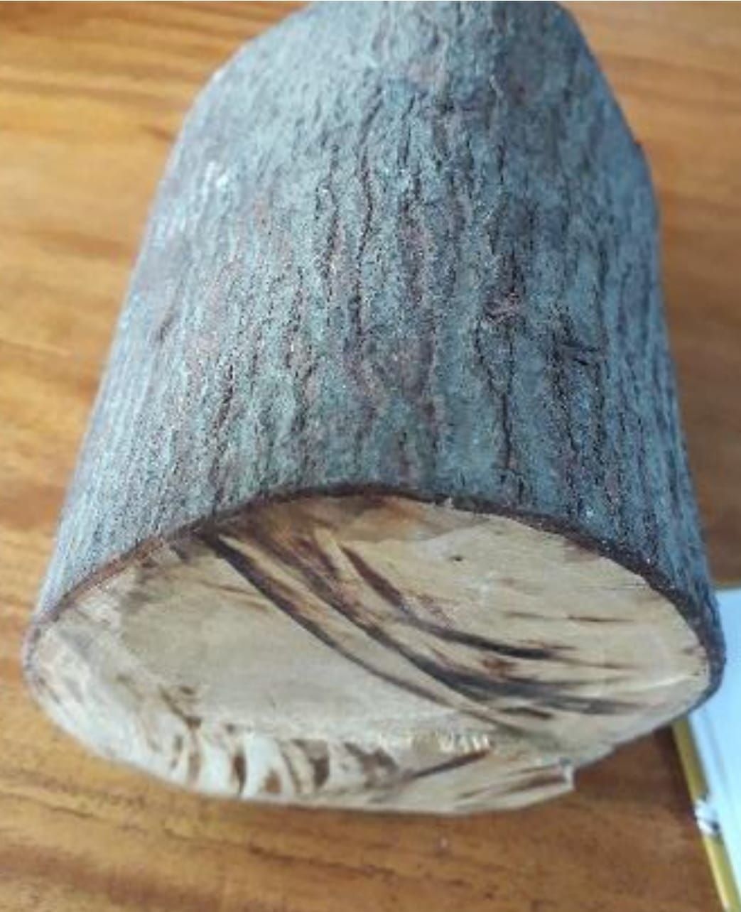 Kayu Cendana sebagai kayu sakral yang diolah menjadi bahan membuat pelinggih