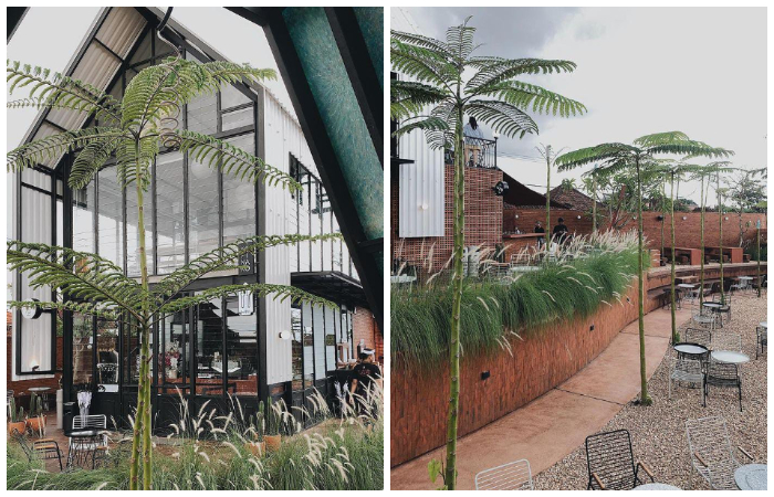 Kafe Kopi Nako Bali di Jalan Drupadi, Denpasar yang instagramable