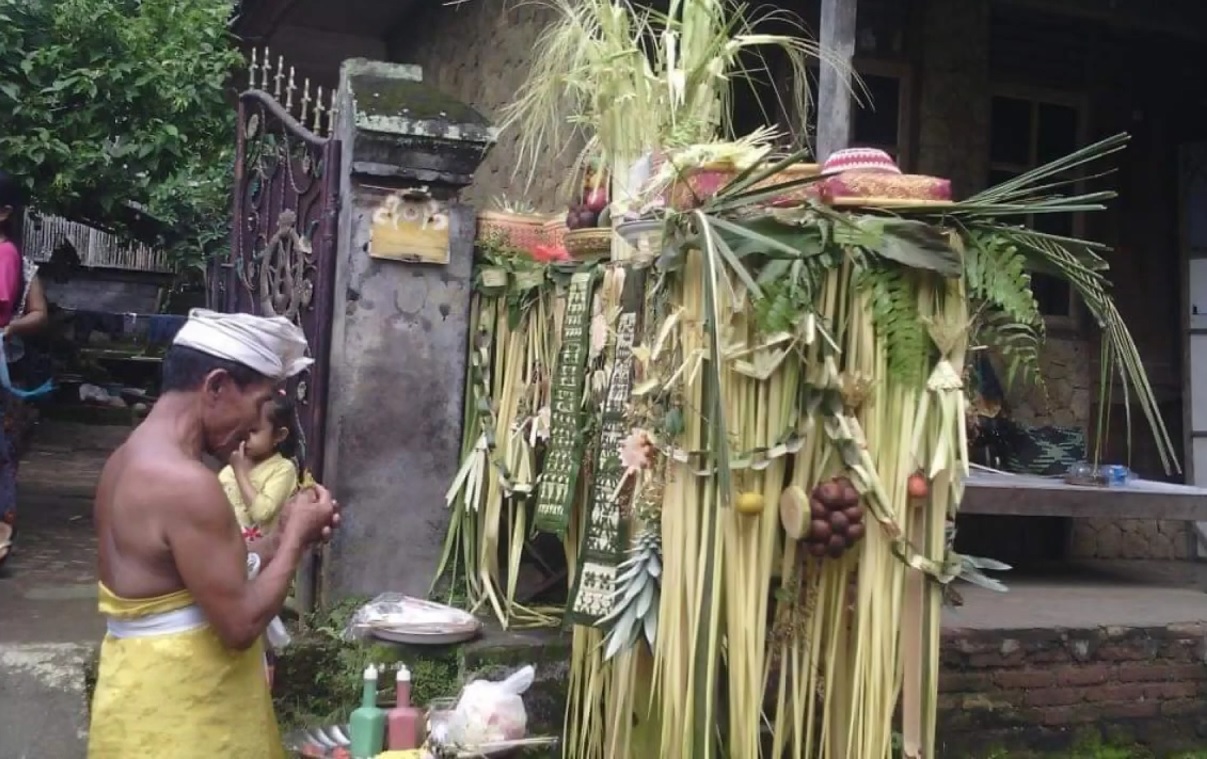 Suasana Ngusaba Gedebong saat Purnama Sasih Kawulu di rumah krama ngarep yang ngarangin di Desa Adat Ngis, Kecamatan Manggis, Karangasem beberapa waktu lalu.