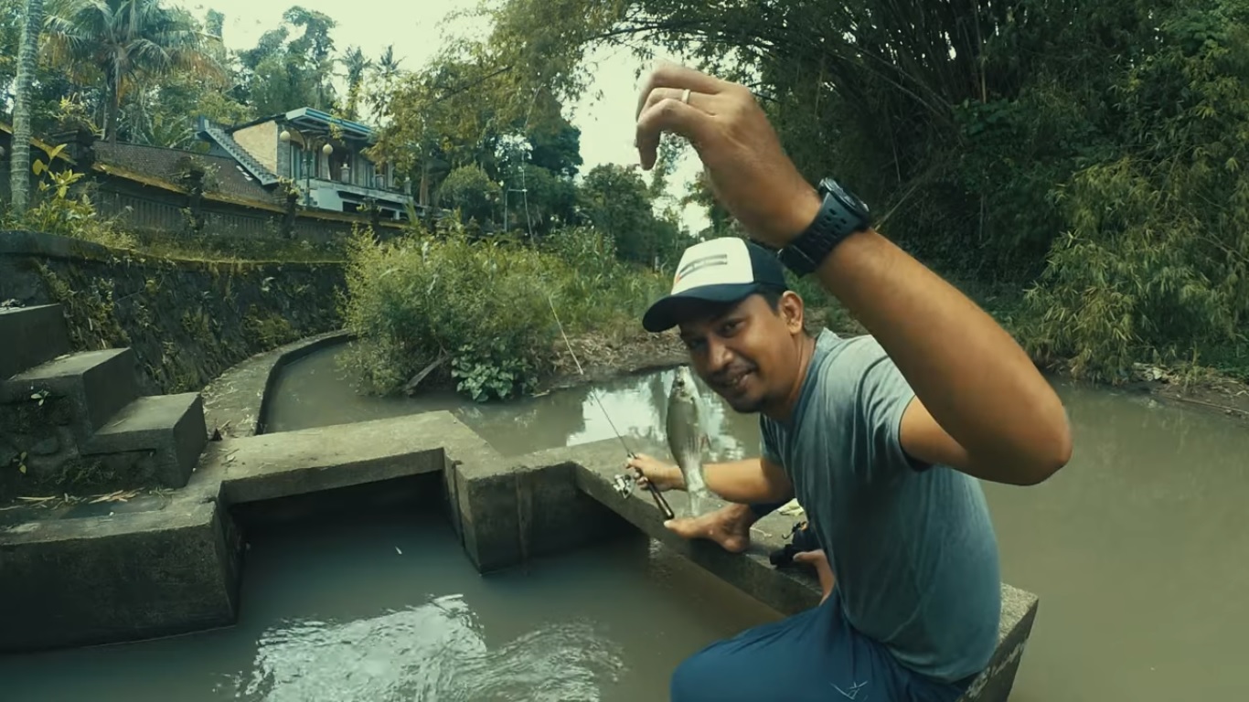 Mancing ikan nilem di saluran Pura Taman Ayun, Mengwi