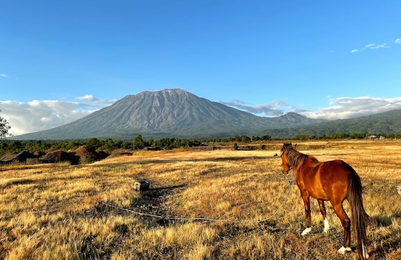 Savana Tiangar di Karangasem Bali sempat menjadi lokasi syuting video klip boyband Korea