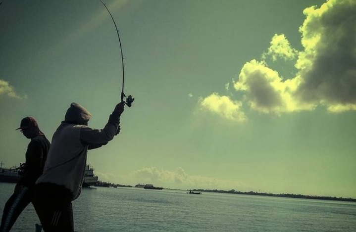 Reel bukan sekadar aksesoris, namun menjadi faktor kunci dalam memancing khususnya di muara, laut, maupun kolam.