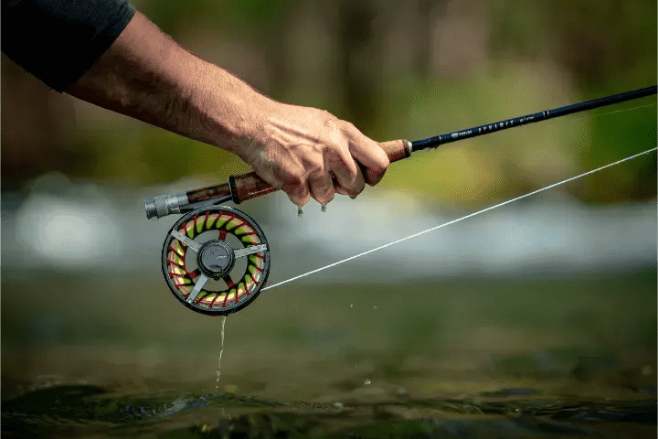 Joran Fly fishing