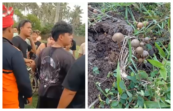 Dua pemuda Desa Air Kuning keluyuran saat Nyepi dalam kondisi mabuk dan cari mushroom atau jamur tahi sapi.