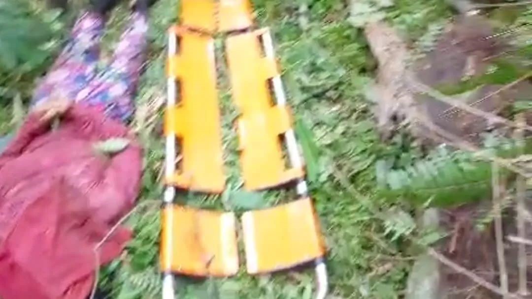 MENINGGAL: Nenek Leper terkapar tertimpa pohon tumbang di Badung Bali.