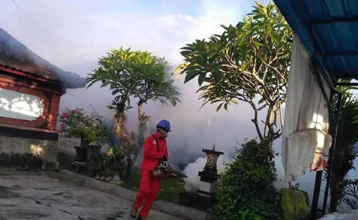 Aktivitas fogging untuk pencegahan DBD namun hanya membunuh nyamuk dewasa.