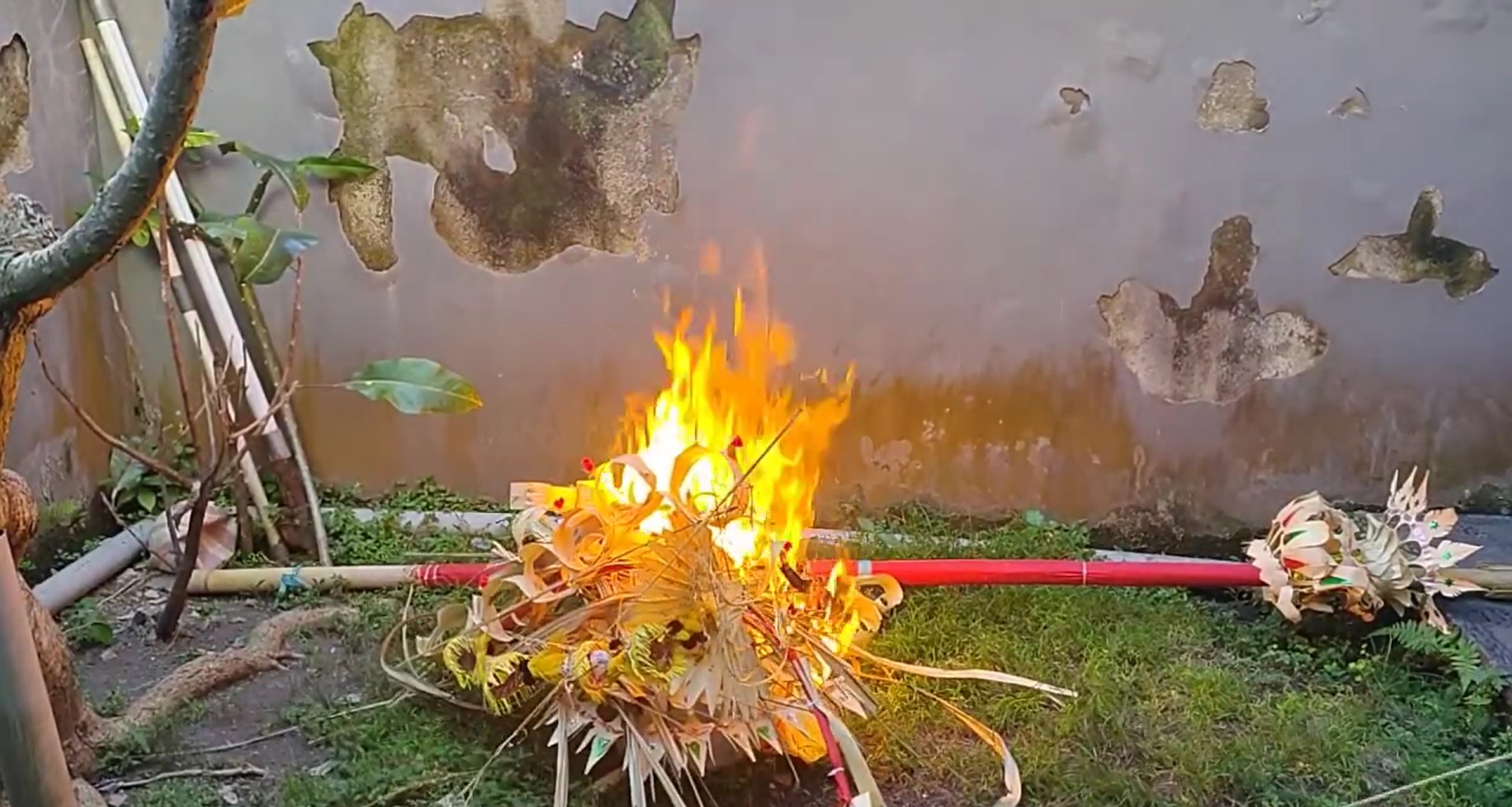 Penjor dibakar saat Buda Kliwon Pegatwakan, Wuku Pahang sebagai penada hari Raya Galungan Kuningan sudah usai