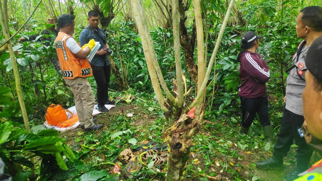 TINGGAL KERANGKA: Jenazah Pekak Nayok ditemukan tinggal kerangka di kebun kopi miliknya di Pupuan, Tabanan, Bali.