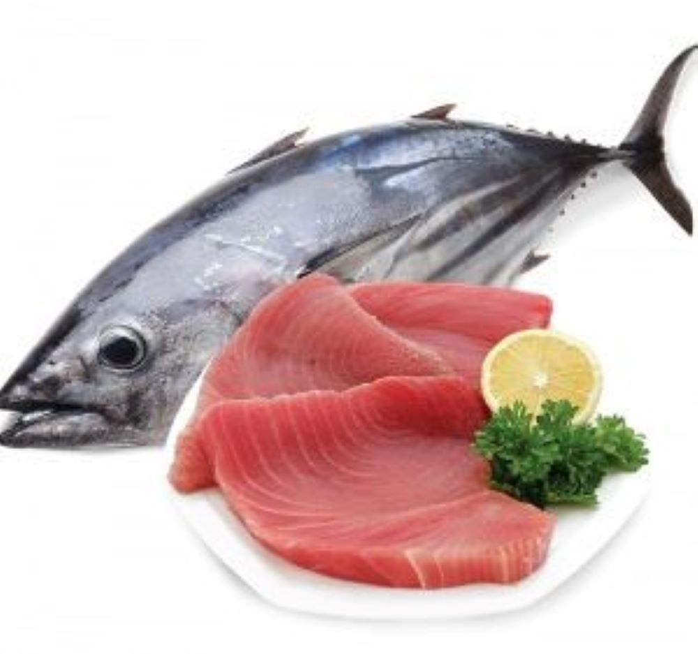 Ikan Tuna memiliki kandungan nutrisi yang bermanfaat bagi kesehatan.