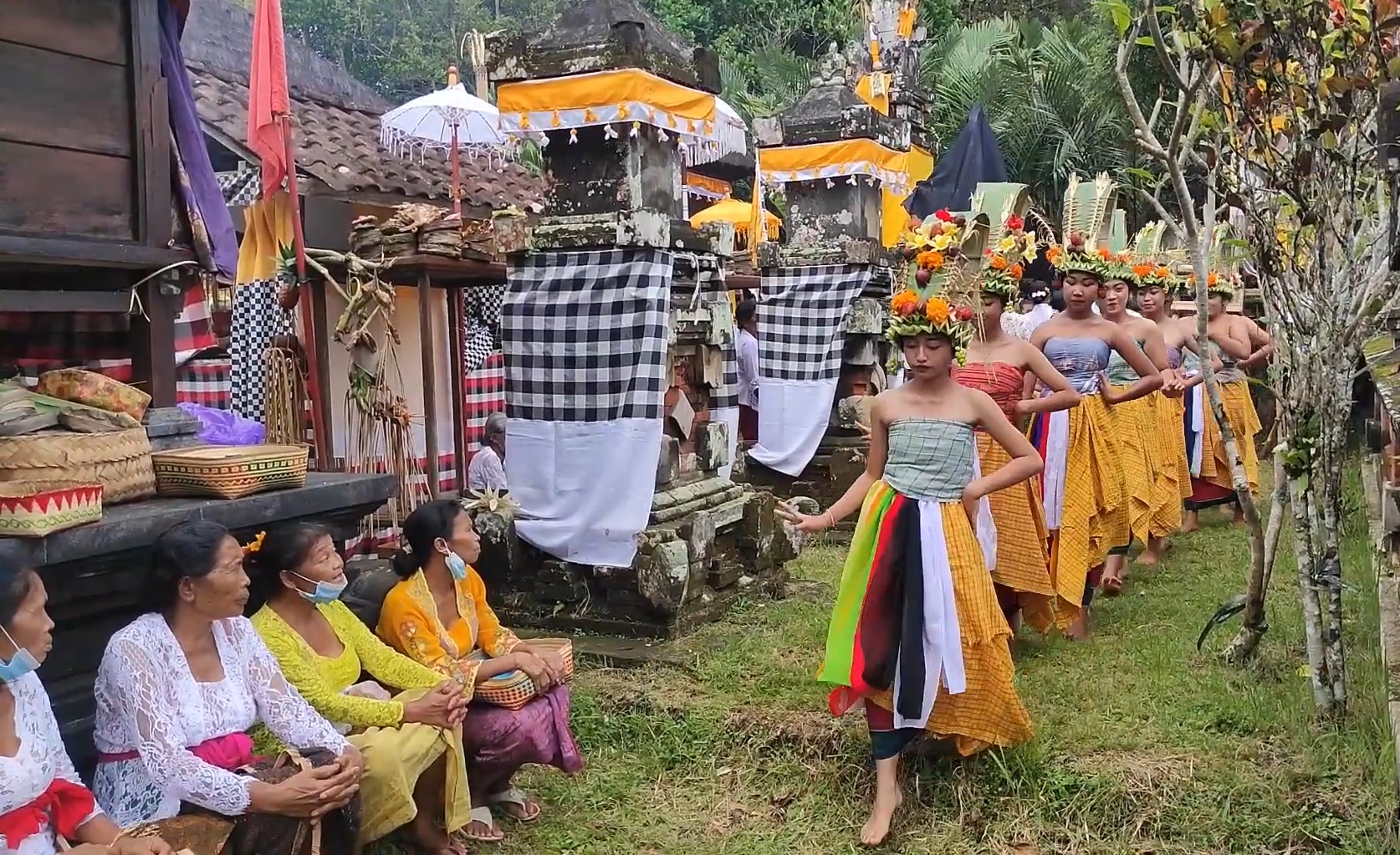 Tari Rejang Pala saat pujawali di Pura Balang Tamak