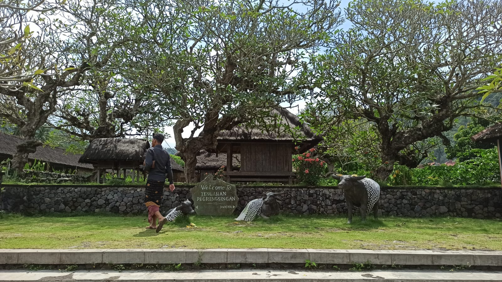 Desa Tenganan Pegringsingan, Kecamatan Manggis, Karangasem yang memiliki mitos unik terkait korban Aswameda