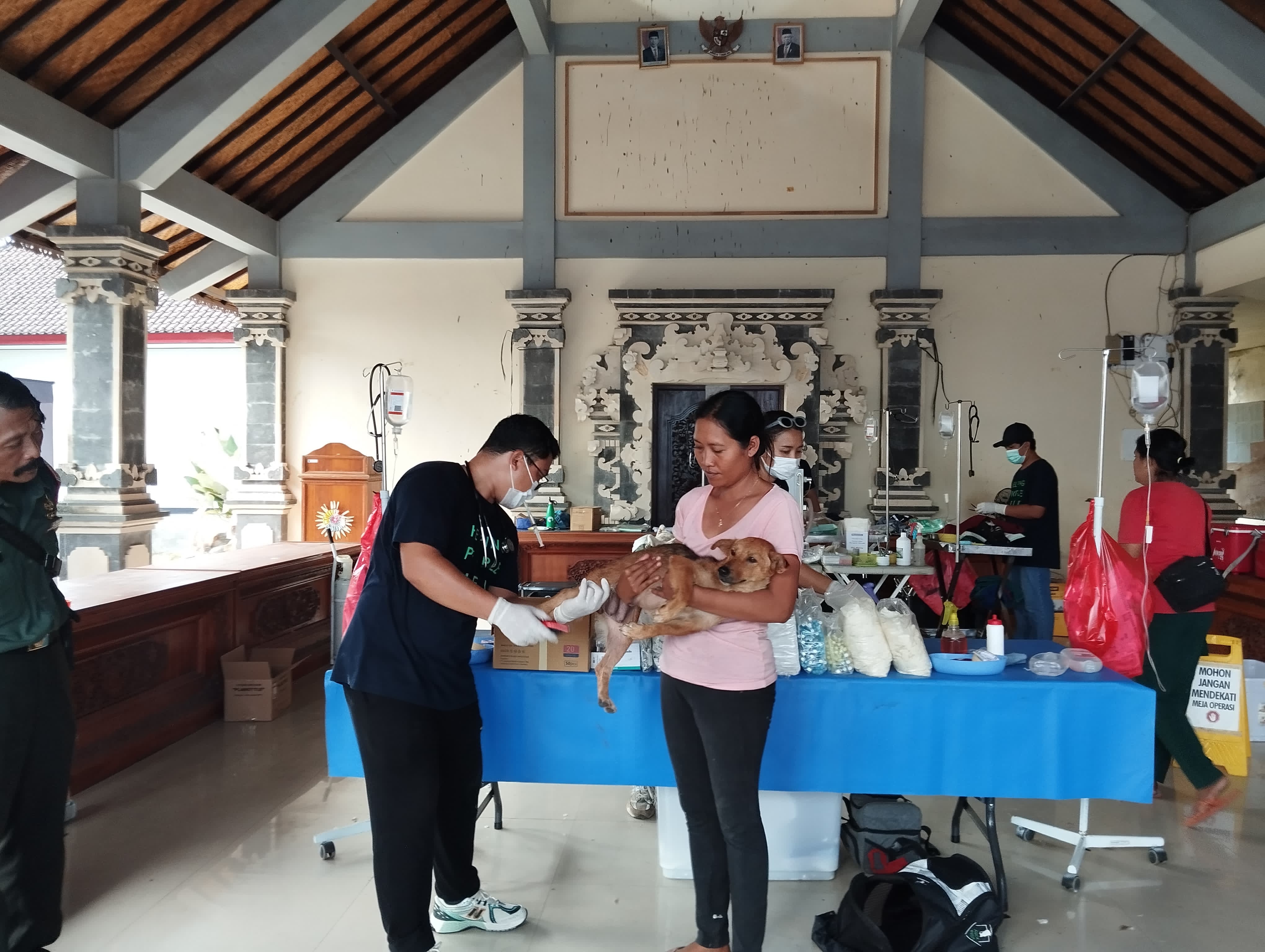 STERILISASI HPR : Petugas saat melakukan sterilisasi HPR yang berlangsung di Aula Desa Mendoyo Dauh Tukad, Kecamatan Mendoyo, Kabupaten Jembrana, Kamis (30/5).
